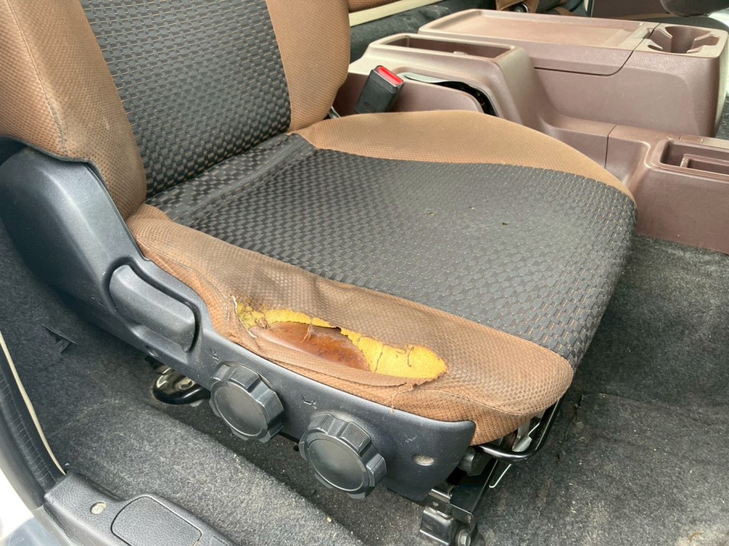 画像 7枚目